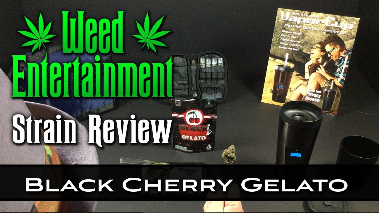 Black Cherry Gelato - Hybrid - by Backpack Boyz - Strain Review - from Dr Greenthumbs, Sylmar Ca