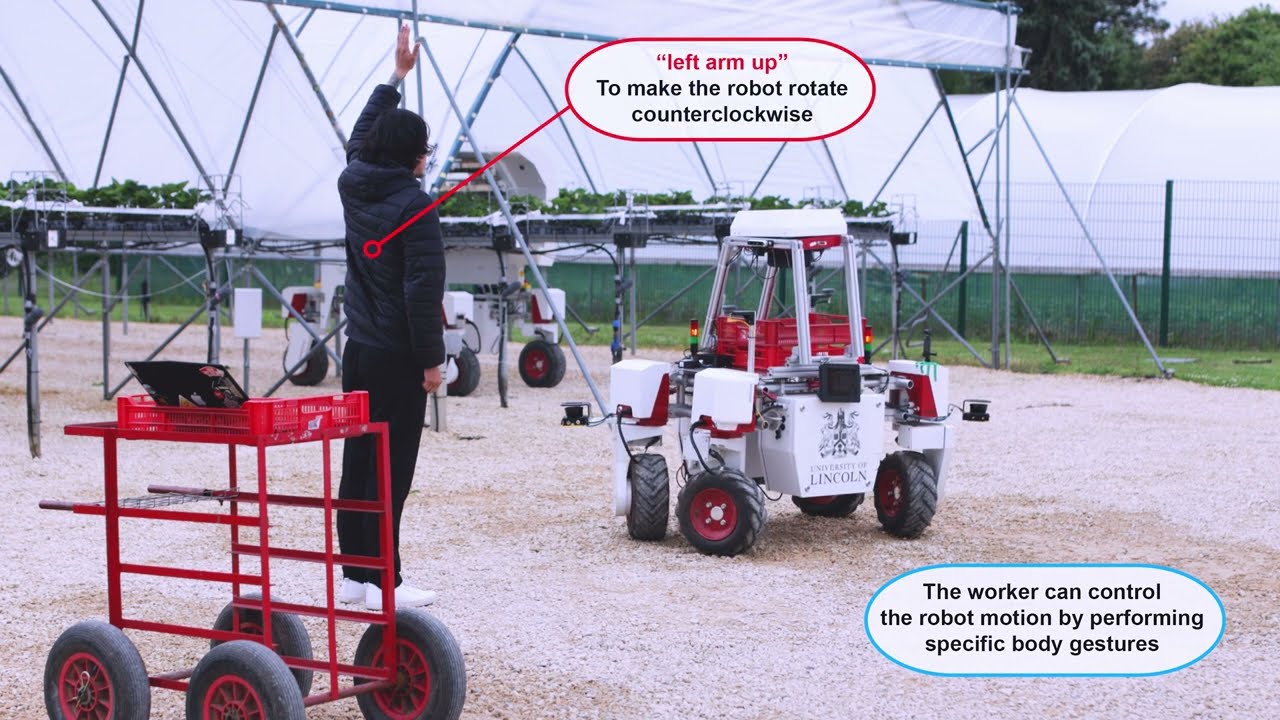 AAIP Mesapro Demo