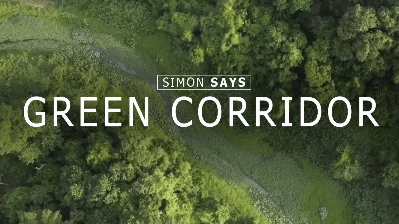 A stroll through Singapore’s Green Corridor and Clementi Forest | Simon Says