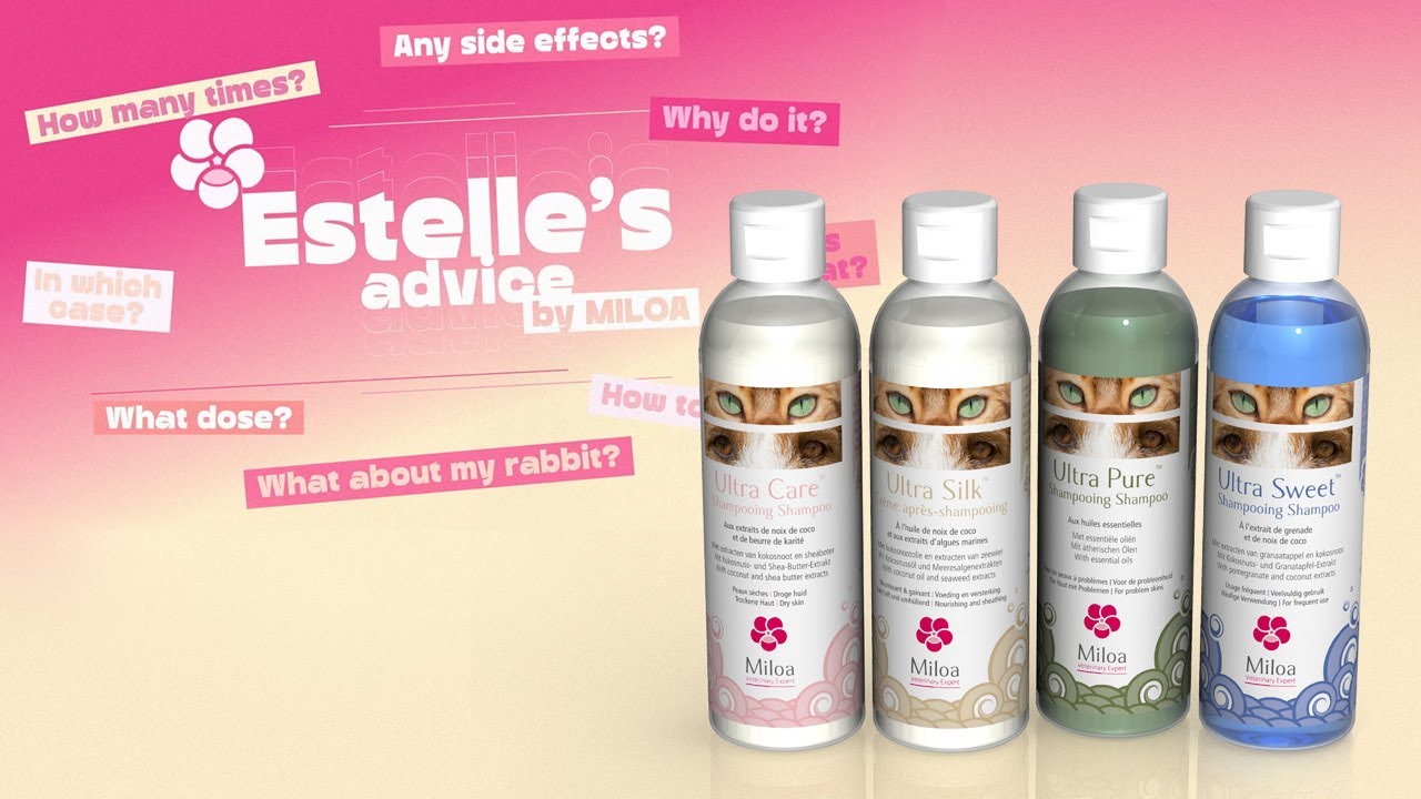 All about the 3 Miloa shampoos and conditioner