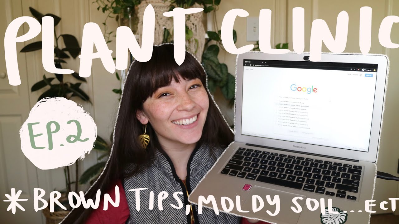 Why Your Plant has Brown Tips, Moldy Soil, & More | PLANT CLINIC EP 2