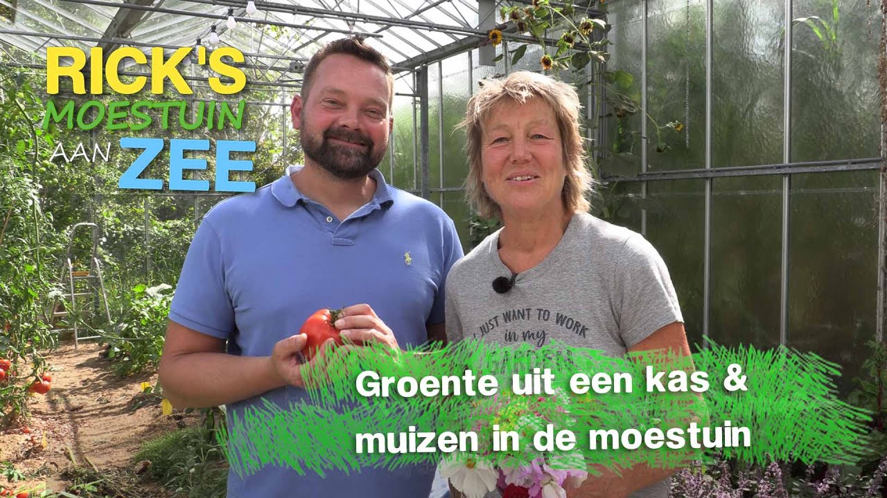 Groente uit een kas & muizen in de moestuin | Alles Wat Bloeit | Rick's Moestuin Aan Zee