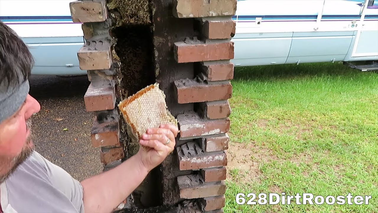 You Won't Believe What We Found!