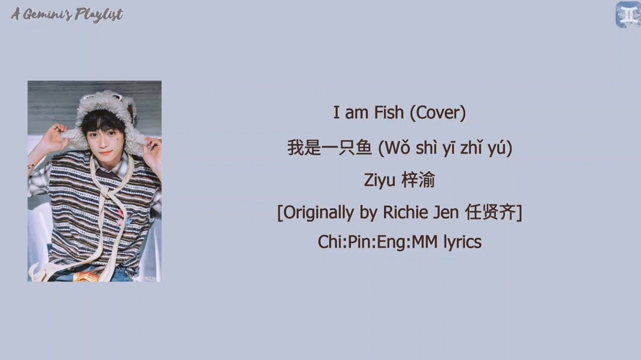 [Cover] Ziyu 梓渝 - I am Fish 我是一只鱼 (Wǒ shì yī zhǐ yú) Chi:Pin:Eng:MM lyrics