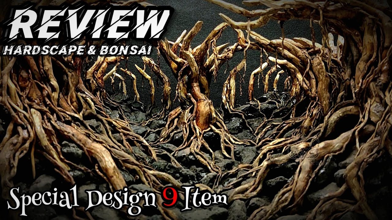 Review Hardscape The Jungle dan Bonsai Aquascape by Queen Art Aquatic