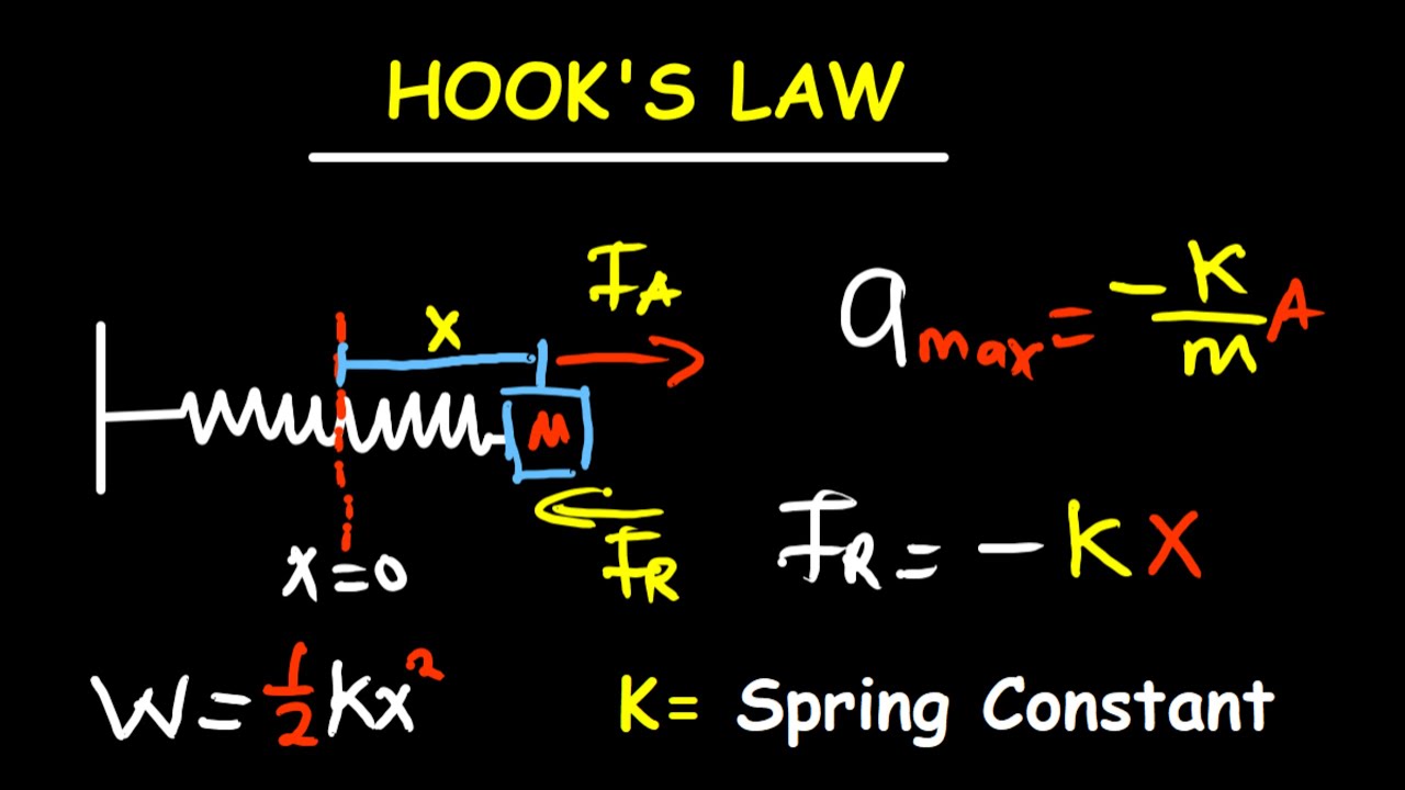 Hook's Law Introduction