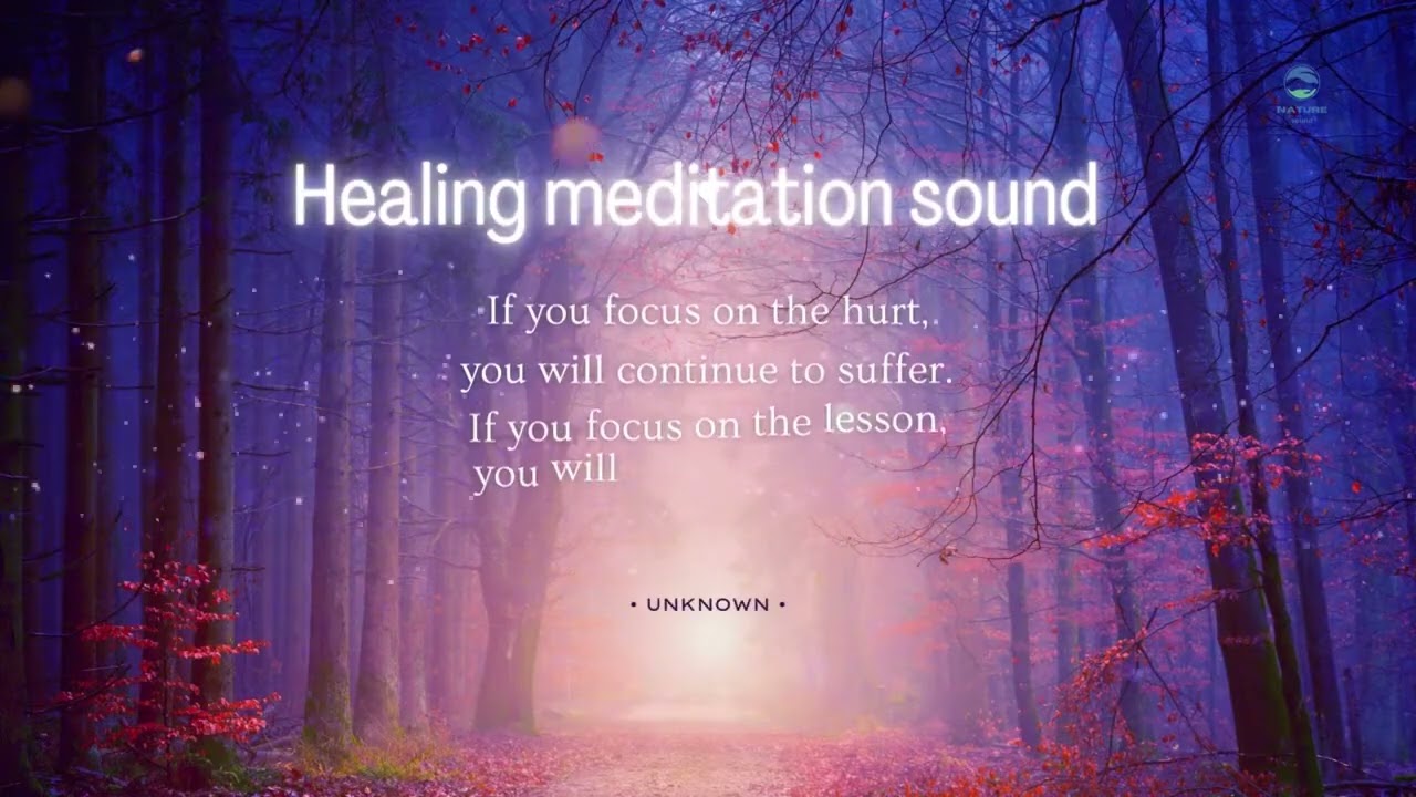 Forest Nature Reminder Healing Meditation Sound 1