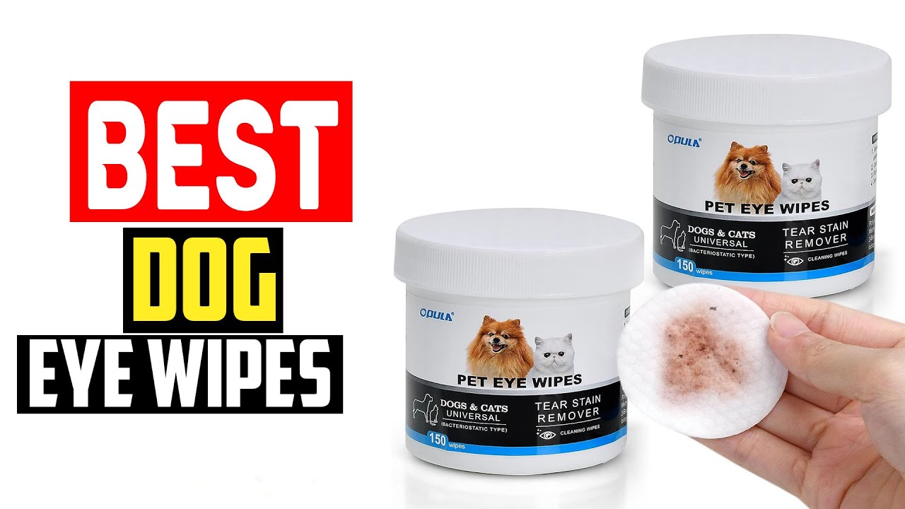 ✅Top 5 Best Dog Eye Wipes in 2025