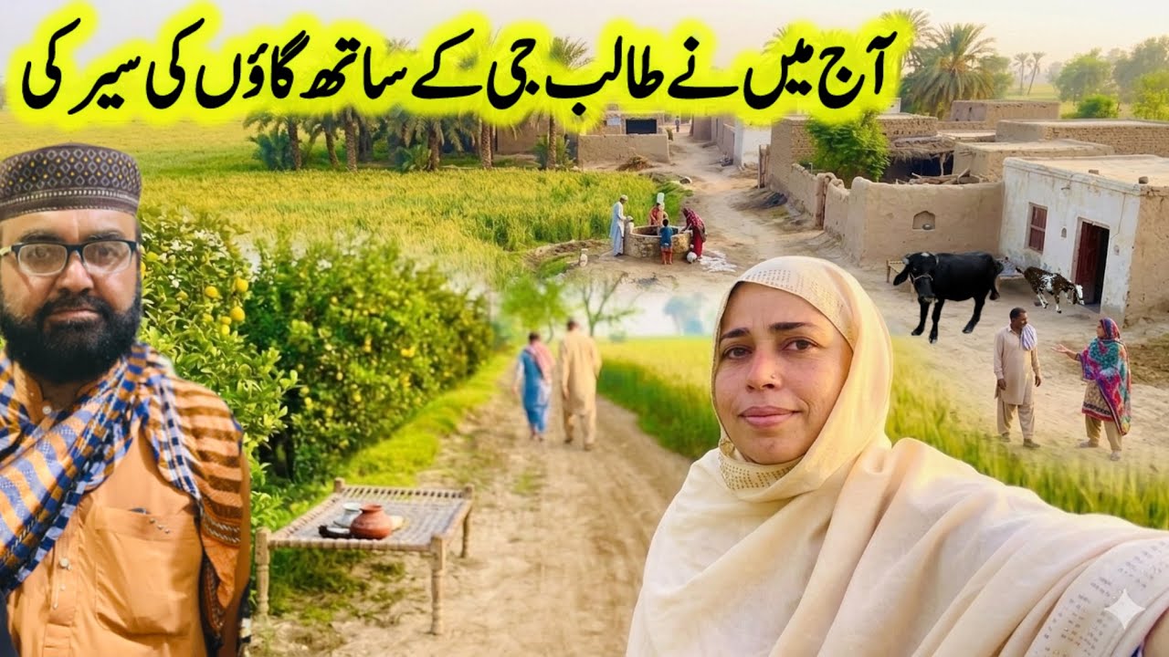 Very peaceful Village Morning | Traditional Village Life In Pakistan |The Village Life ￼Very Simple