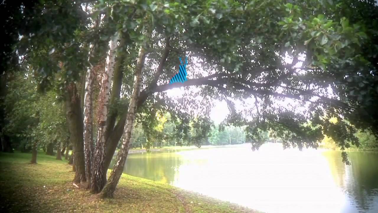 Na tropie kotojelenia, czytała Krystyna Czubówna:)