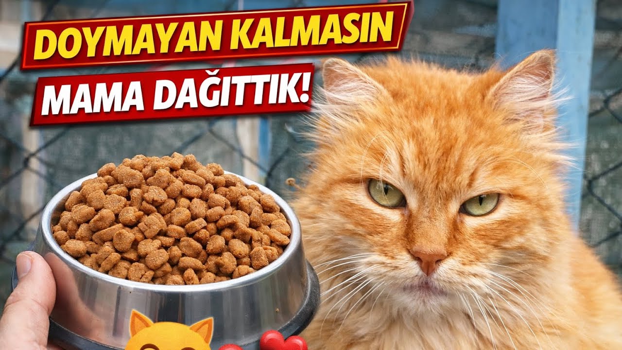 Doymayan Kalmasın 