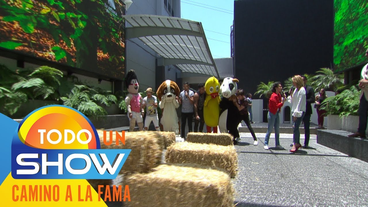 ¿Llegó o no llegó El Capi a la carrera de botargas? | Todo un show