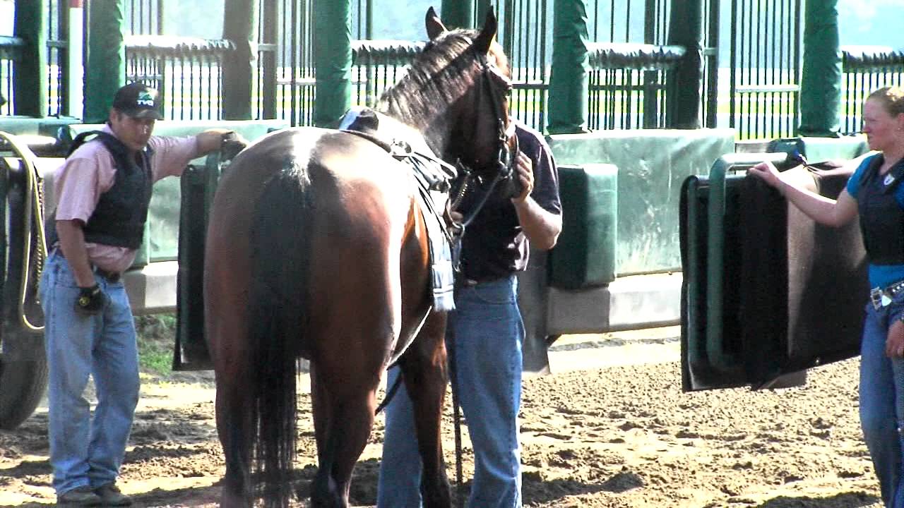 Saratoga Starting Gate School