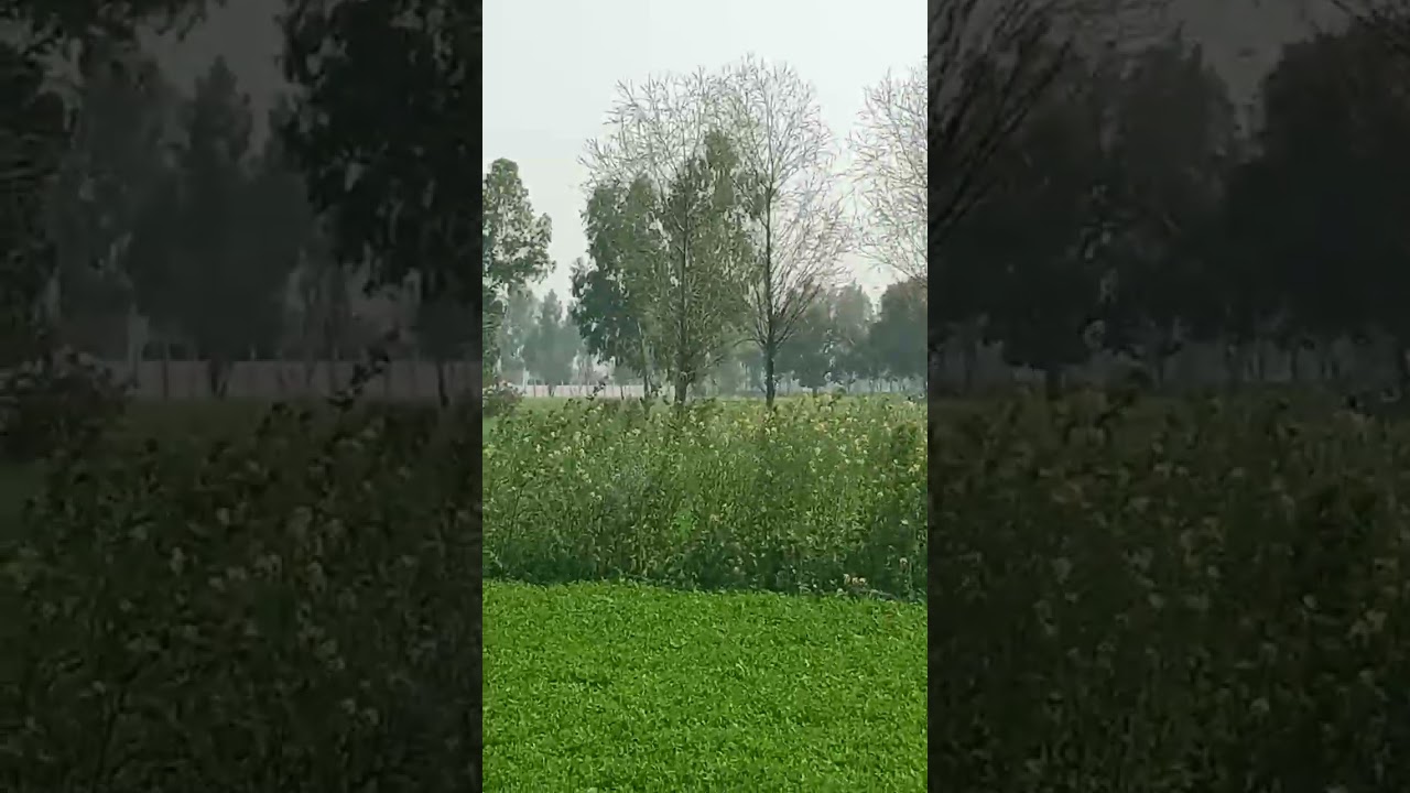 تحصیل و ضلع قصور ایک ایکڑ برائے فروخت ضرورت مند بندہ تین چار مرلہ مکان ایک ایکڑ کی ڈیل میں دے سکتا  