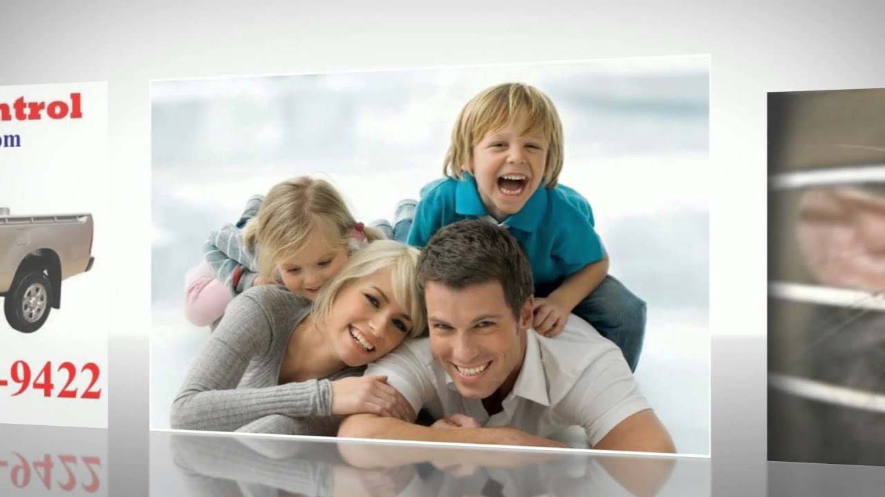 Exterminator Selma TX | Call (210) 807-9422