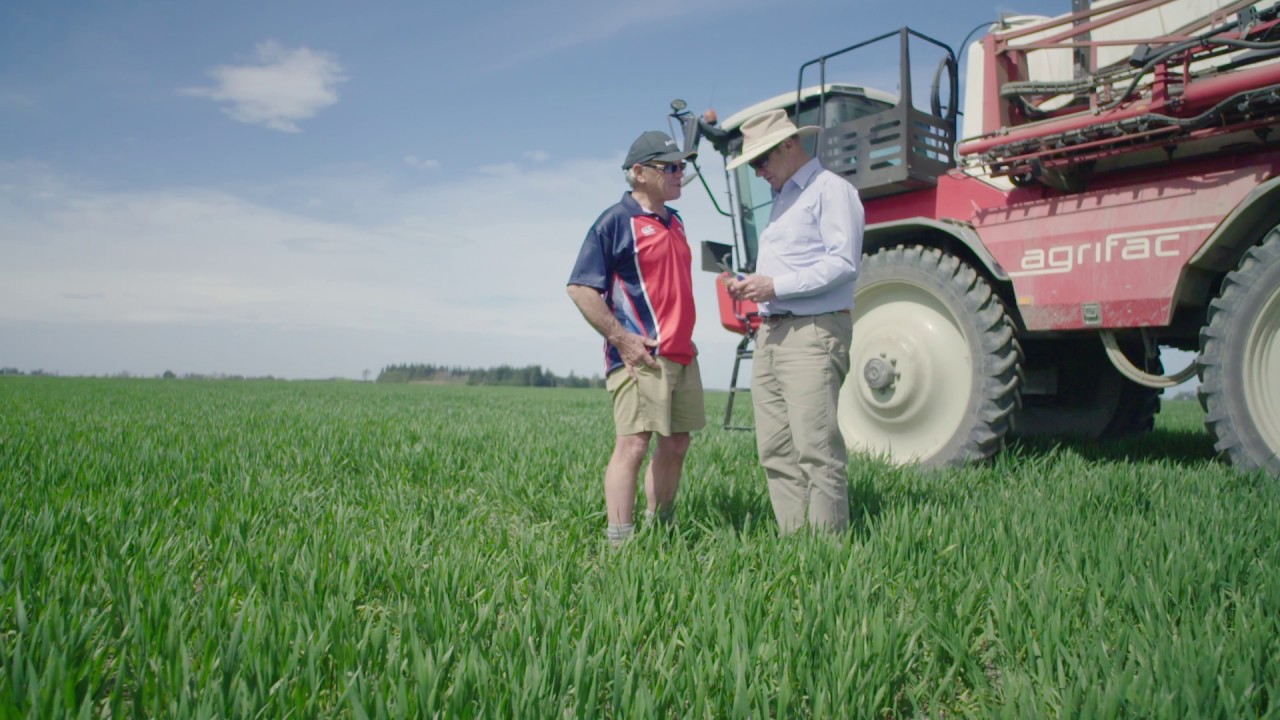 Guinness World Record Holder, Eric Watson, speaks about getting the most out of wheat crops