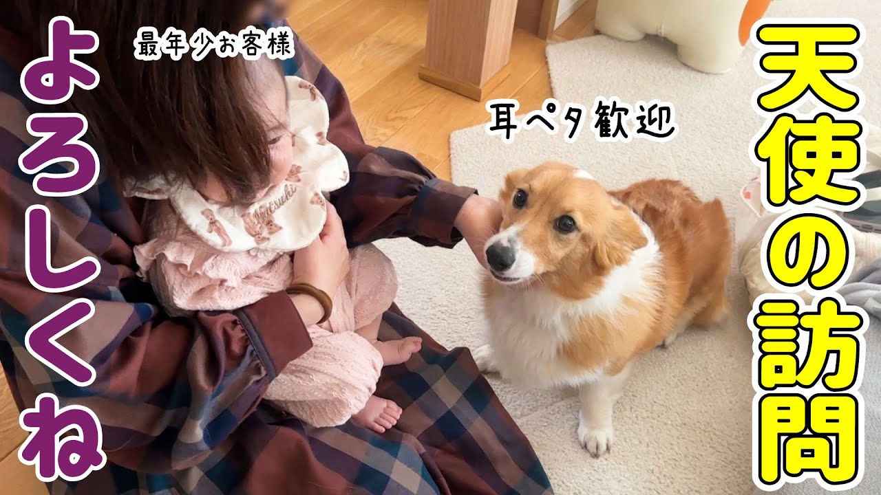 生後４ヵ月の赤ちゃんに興味津々！優しい眼差しにキュン