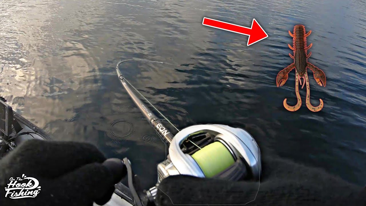 The Best Creature Bait for Perch Fishing?