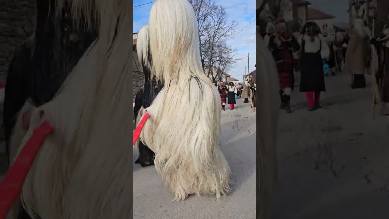 Сурва 2026