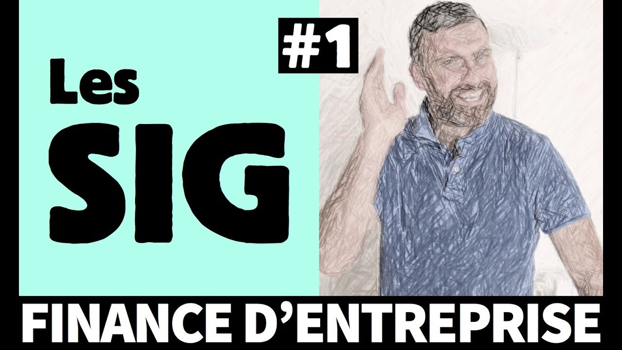 Soldes Intermédiaires de Gestion (SIG) - Finance d'entreprise 1/4