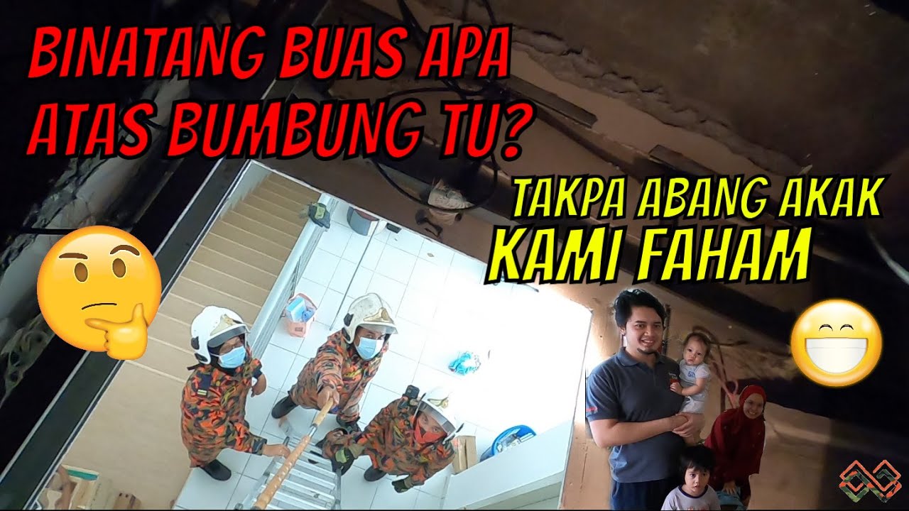 BINATANG BUAS APA DEKAT ATAS BUMBUNG RUMAH TU?TAK APA ABANG AKAK KAMI FAHAM..TERBAIK BOMBA MALAYSIA