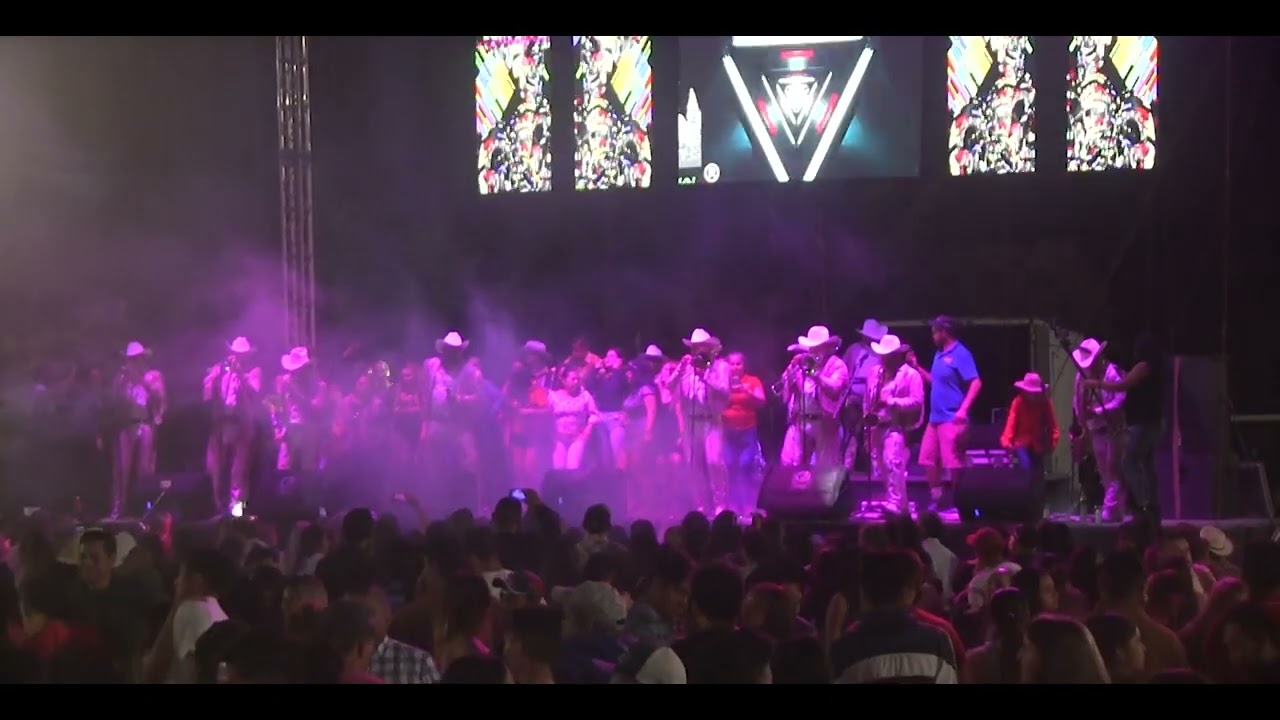 TORO PINTO BANDA MAGUEY