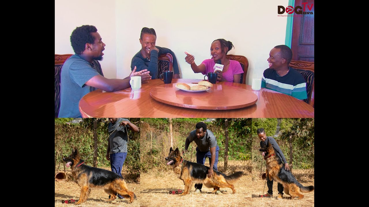 LET'S TALK ABOUT DOGS WITH DOUG KENNEL,REDHILL KENNEL AND NATNED RIFT AND HOST KENNEL LINDA KINYITA.