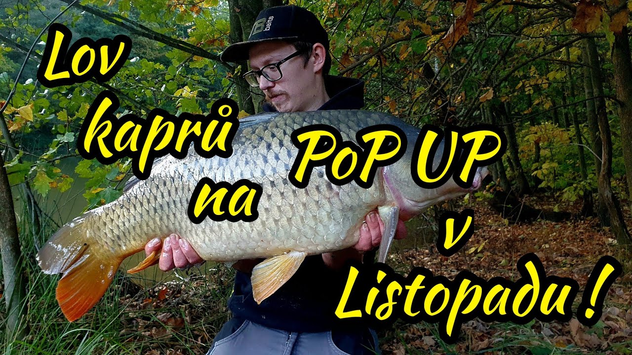 Lov kaprů na PoP UP v Listopadu !