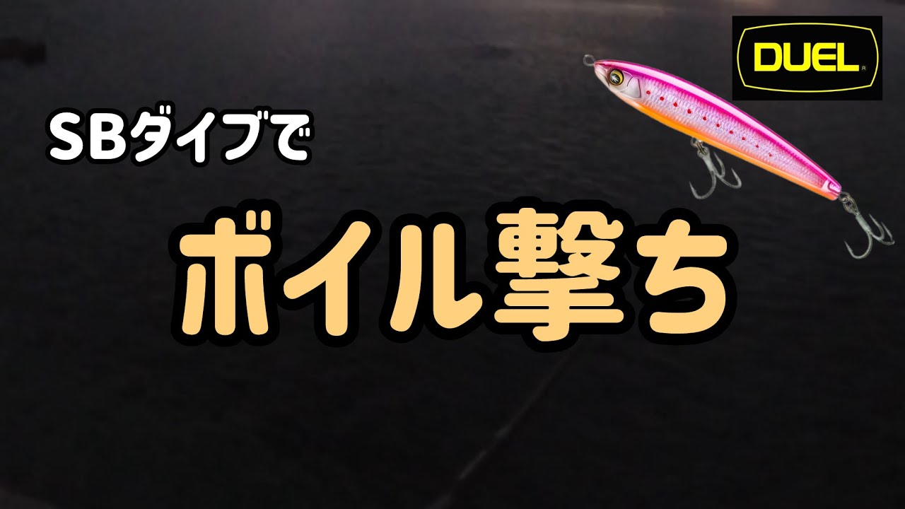 【ショアプラッギング】SBダイブでボイル撃ち