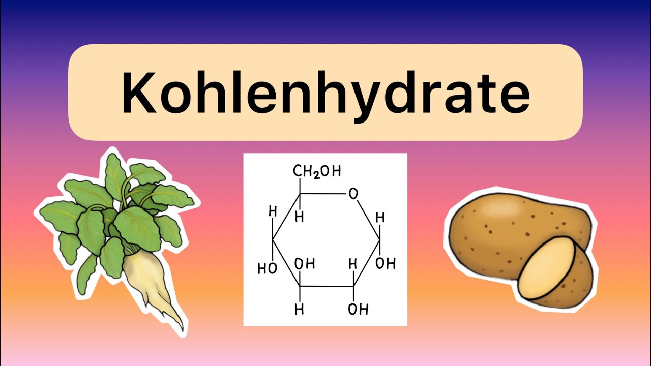 Makronährstoffe Teil 1 - Kohlenhydrate