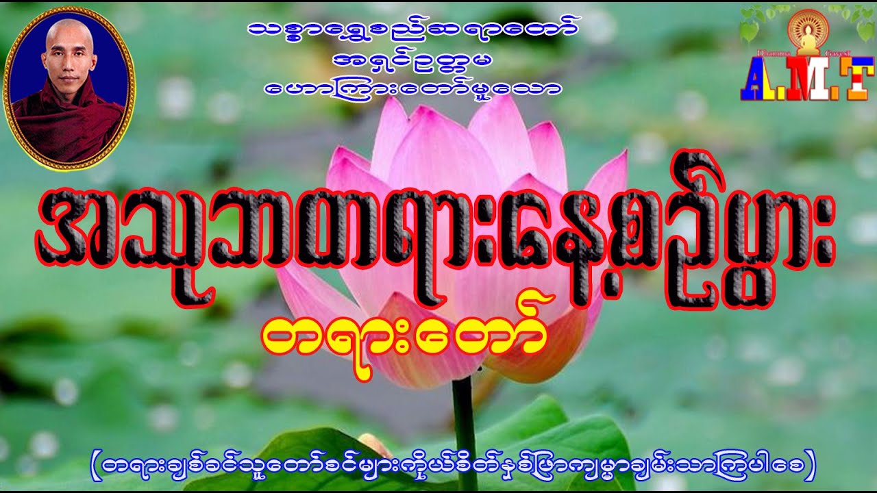 အသုဘတရားနေ့စဉ်ပွား သစ္စာရွှေစည်ဆရာတော် အရှင်ဥတ္တမ
