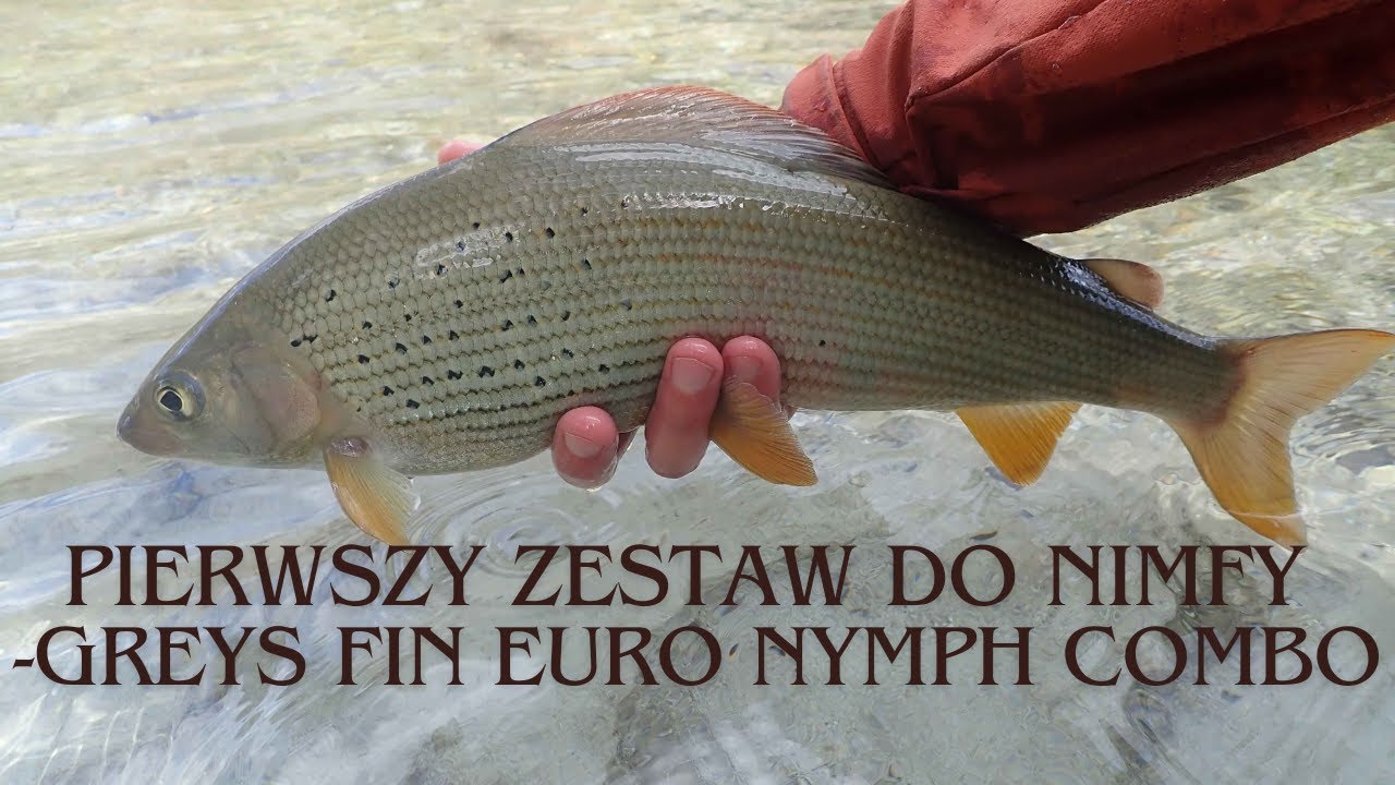 Pierwszy zestaw do nimfy - Greys Fin Euro Nymph Combo.