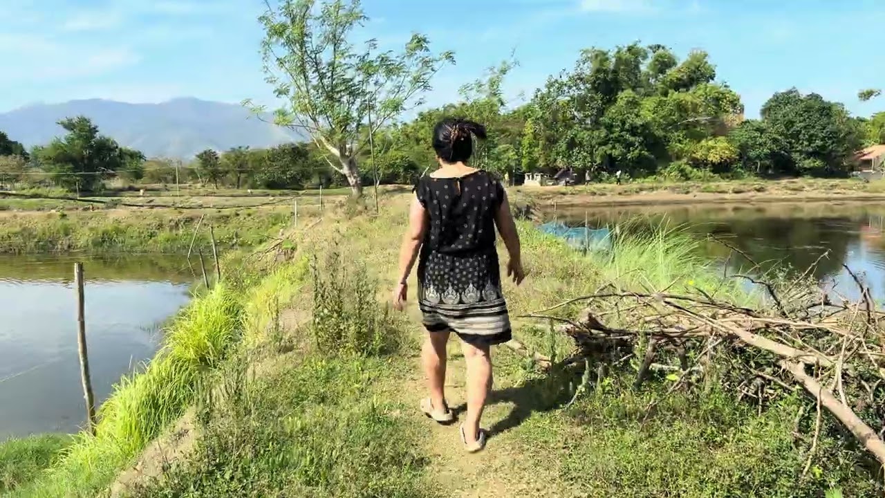 Harvesting Bangus…Part 2…