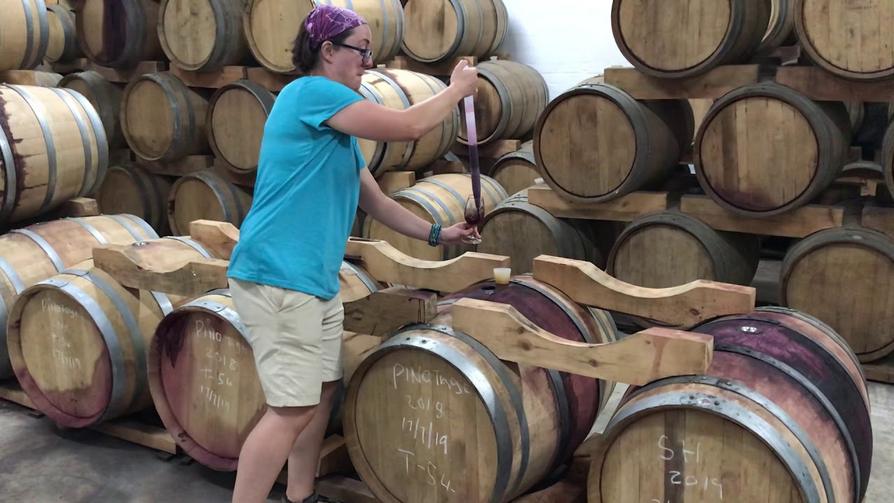 Wine thief using the wine thief