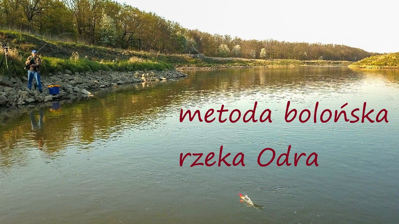 Metoda bolońska na rzece Odrze. Cz 7