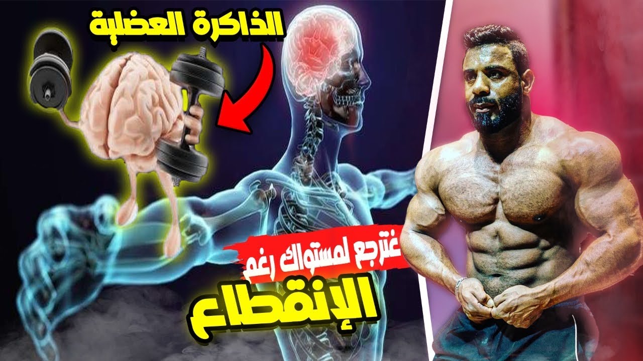 كيف تنمو عضلاتك بعد غياب طويل عن تمرين 😎 أسرار الذاكرة العضلية