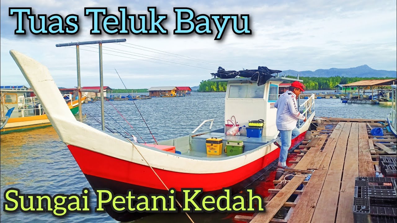 Ikan Tenggiri Dan Cencaru Tuas Teluk Bayu, Sungai Petani, Kedah