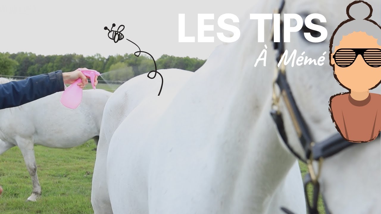 [LES TIPS À MÉMÉ] Fabriquer un anti-mouches naturel ! 🐜💨