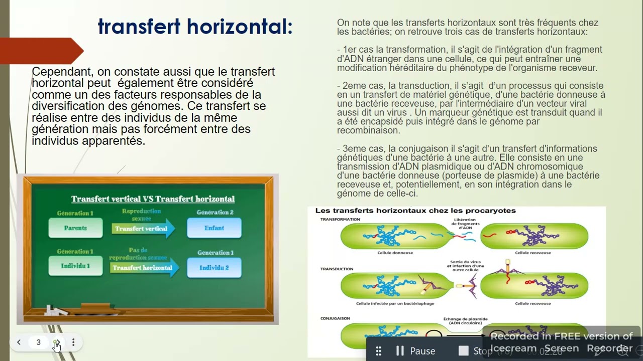 CAPSULE DE SVT