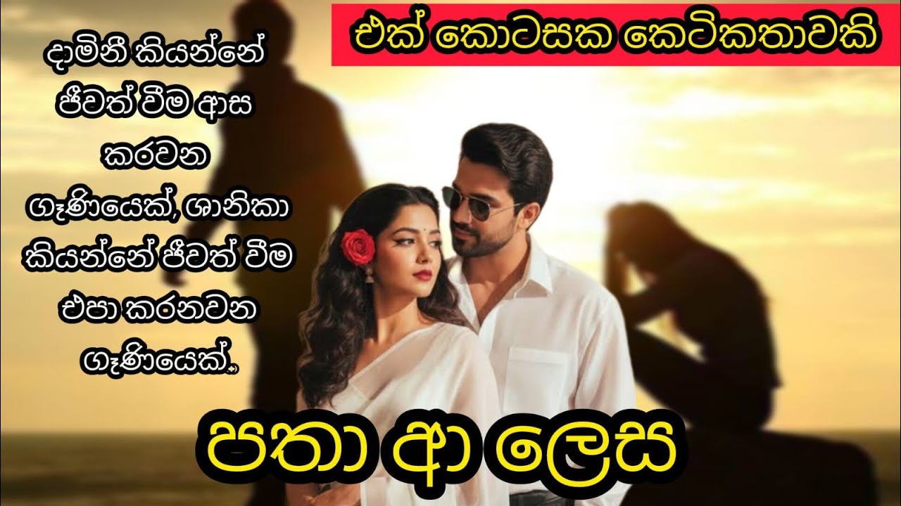 පතා ආ ලෙස 💕💕 - එක් කොටසක කෙටි කතාවකි 