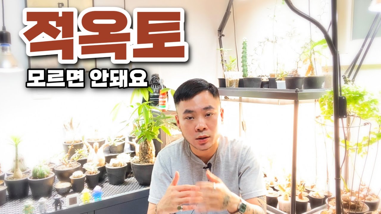 분갈이 용토 : 과습 걱정 없는, 초심자도 요렇게만 하면 안죽어요. 초간단 적옥토 세팅 / 상토 안씀 식물 키우기 / 분갈이흙 / 과습 걱정 NO