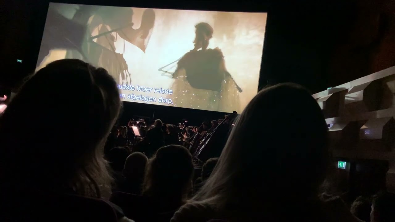 Harry Potter and the Deathly Hallows part 1 in concert - The Deathly Hallows