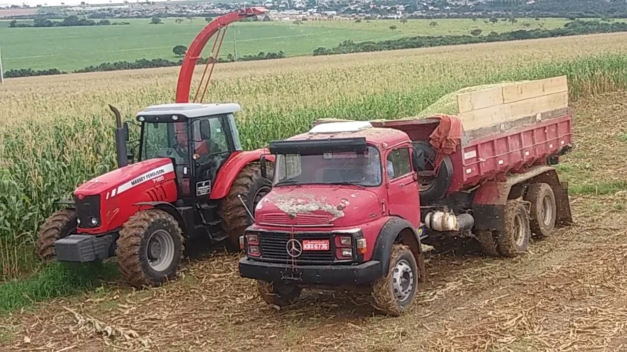 Silagem 2019 colhedora NOGUEIRA NEW CAT 1200