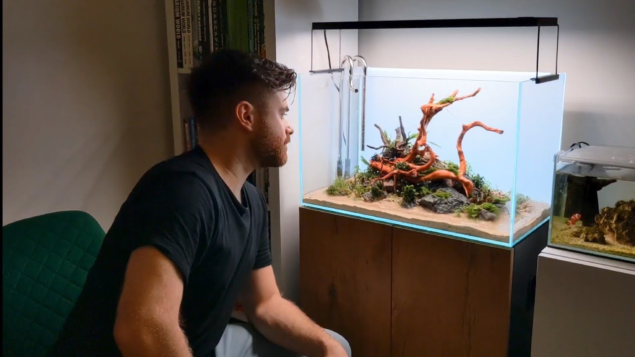 AQUASCAPING A HIGH TECH AQUARIUM - ADA 60p Planted Tank with CO2