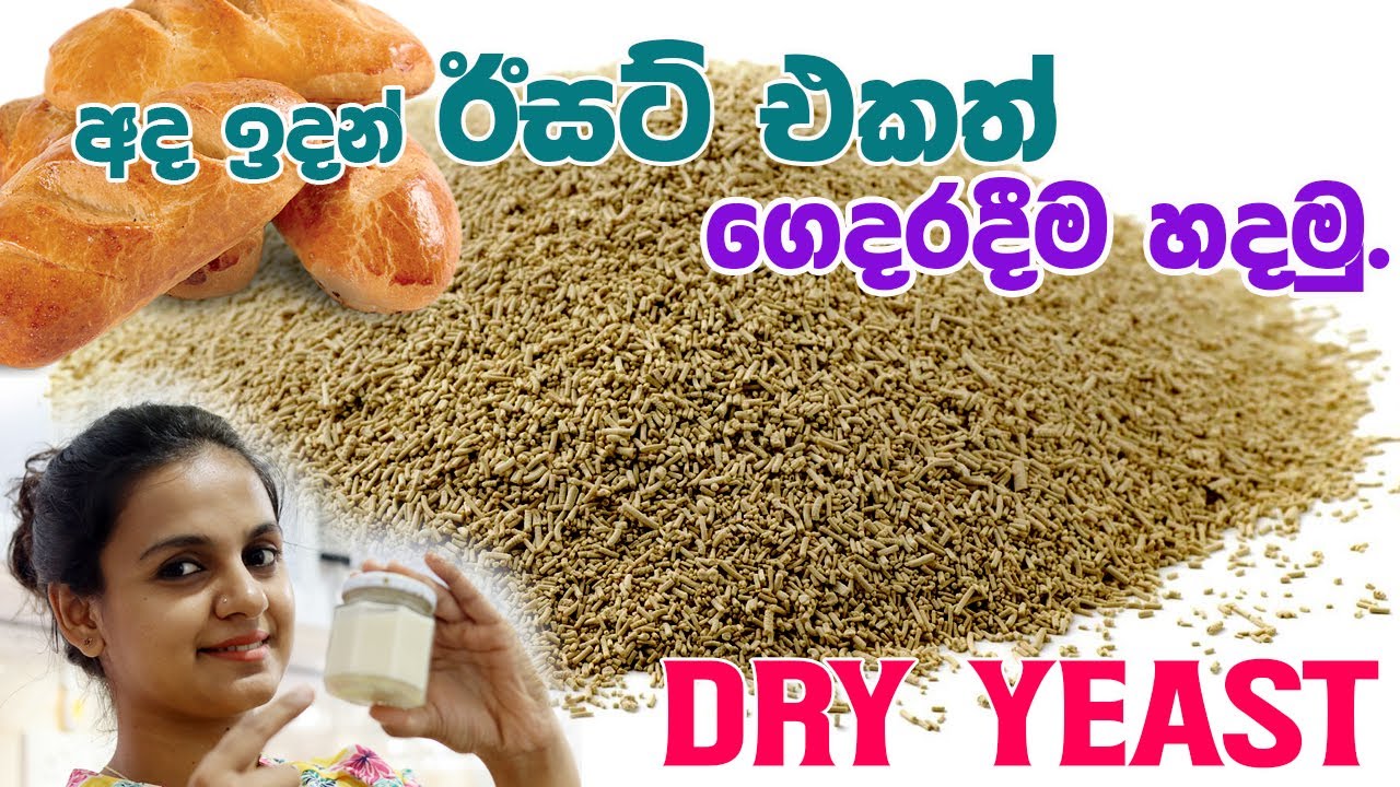 How to make yeast at home | Homemade Yeast | අද ඉදන් ඊසට් එකත් ගෙදරදීම හදමු