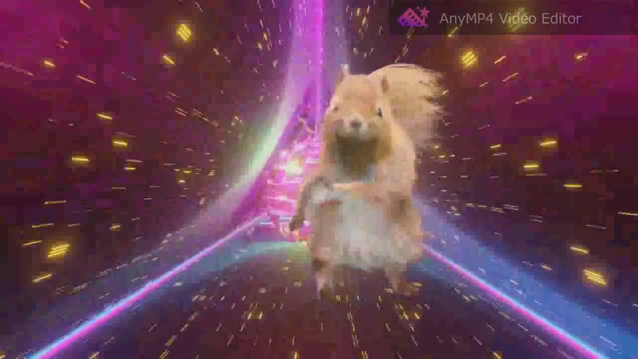 coxy - bunter Salat (Set2020)
