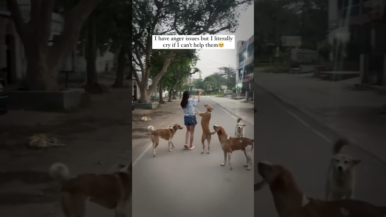 My happiness❤️ #youtube #love #doglove #youtubeshorts #adoptstrays #dogowners #dog #adoptionrocks