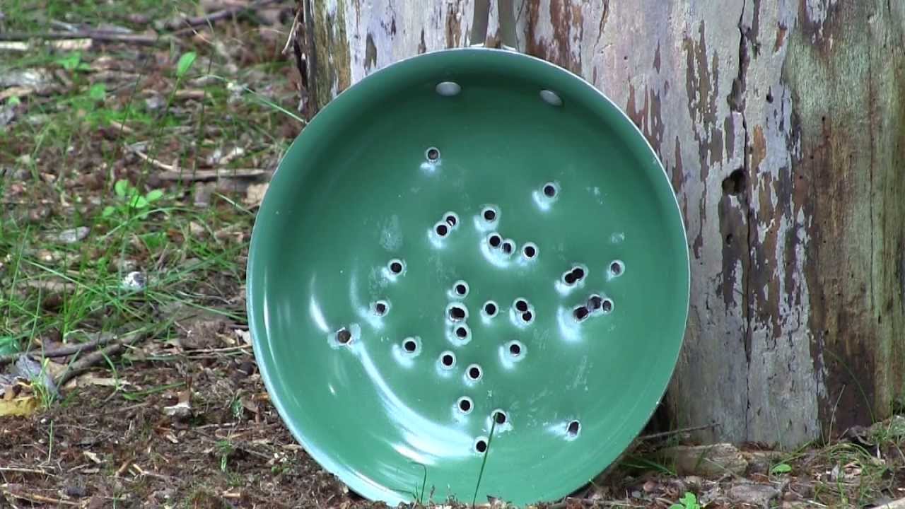 Orgreenic Frying Pan Review - Target Practice!