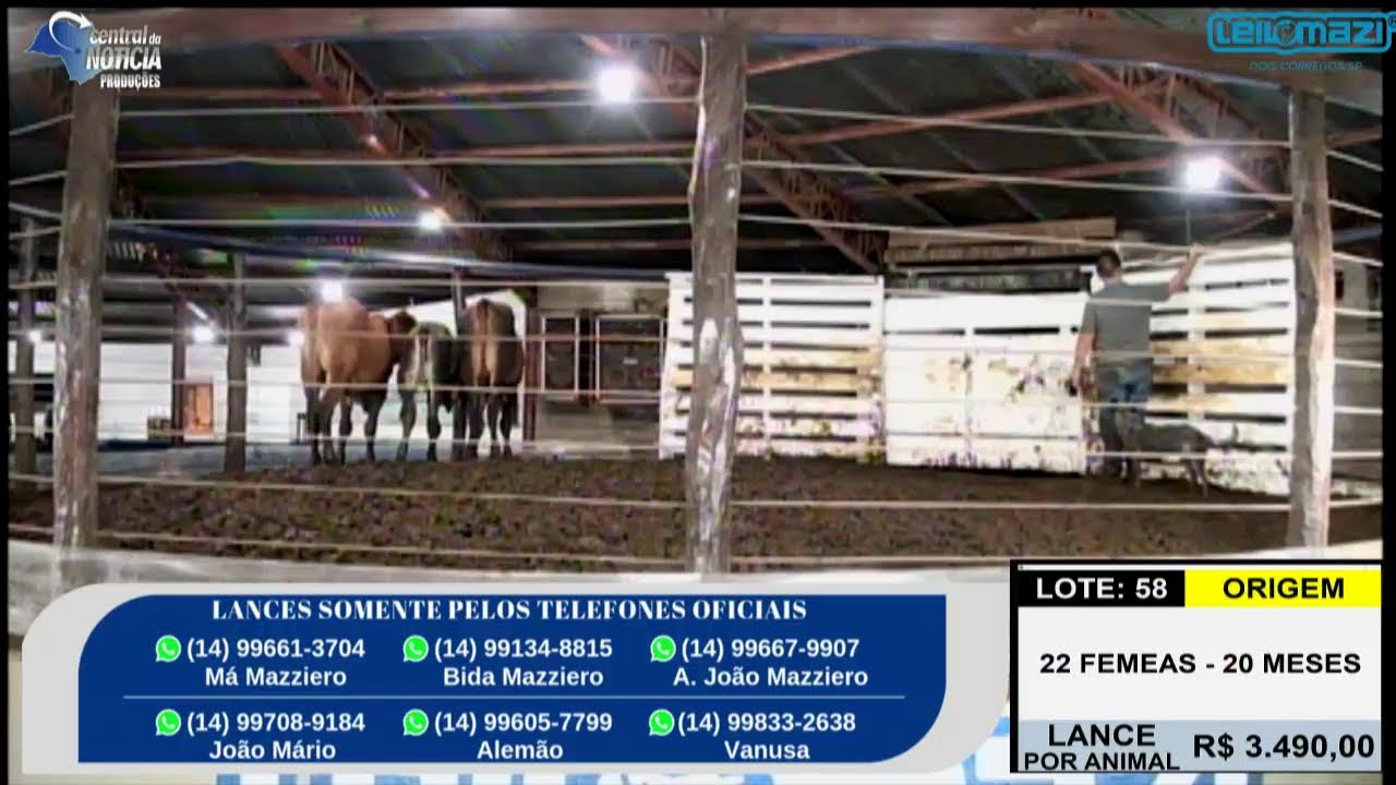 Leilão Leilomazi - Dois Córregos (18/03/2026)