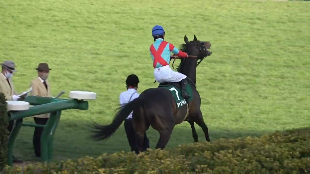 2022 第17回夕刊フジ賞 オーシャンステークス GⅢ 本馬場入場 現地映像 ジャンダルム